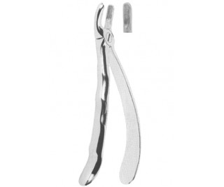 Extracting Forceps With Anatomically Shaped Handle